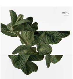 Eau d'orange verte - Eau de Cologne